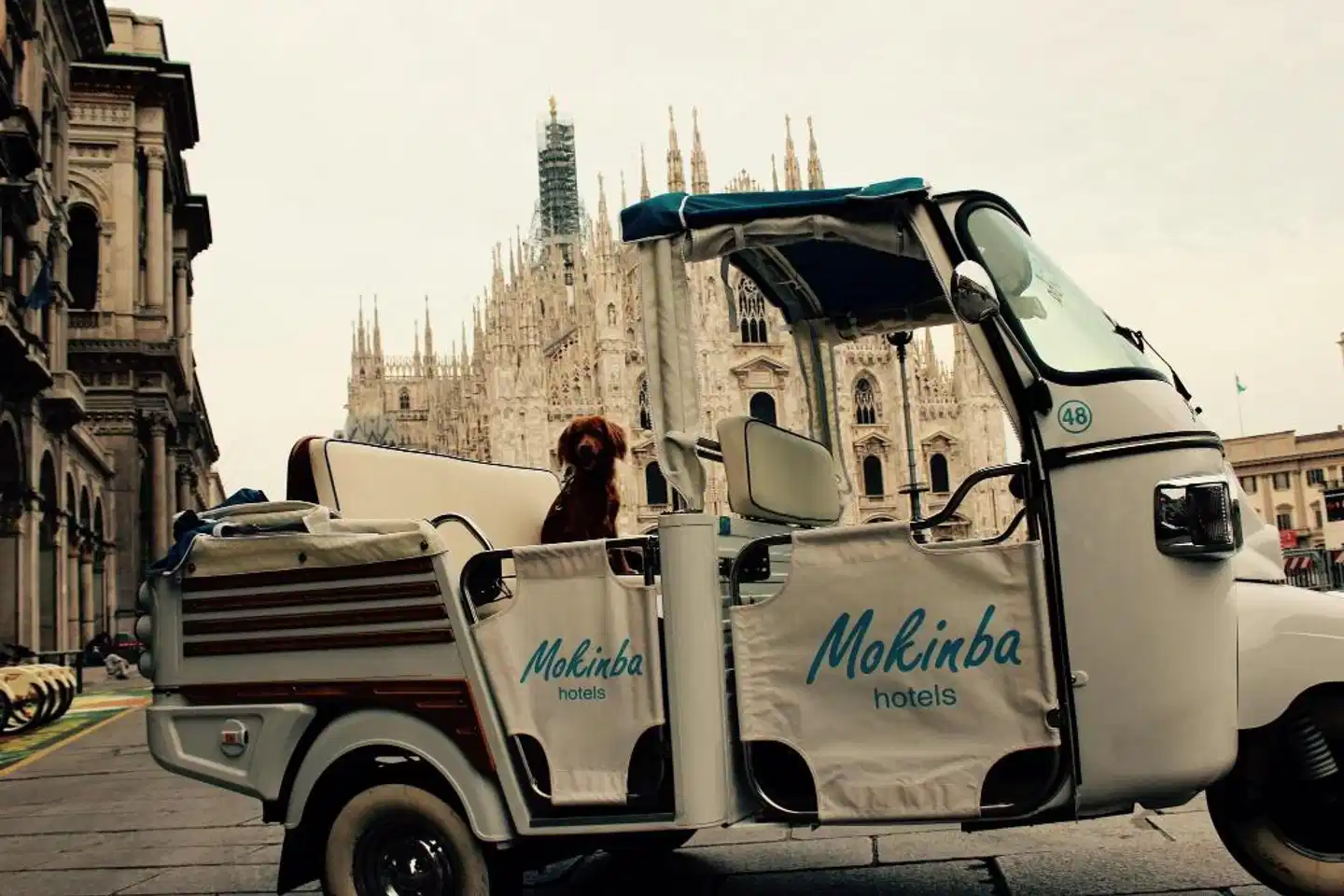 Mokinba Hotels Baviera Sport und Entertainment