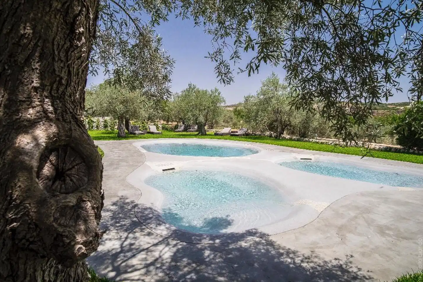 Masseria Degli Ulivi Pool