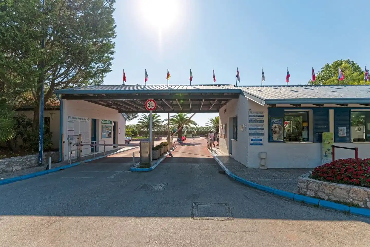 Camping Pino Mare Aussenansicht