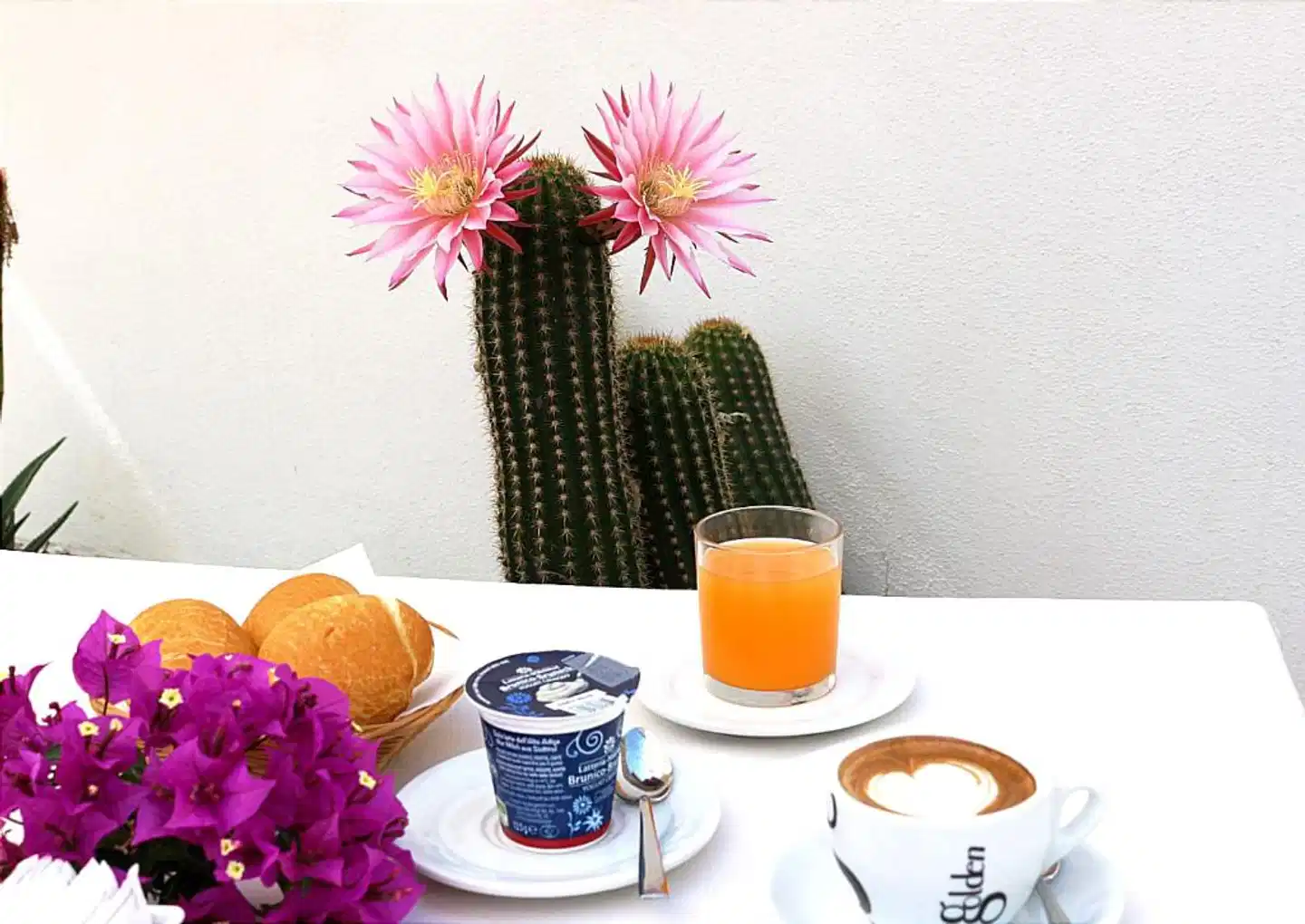 Rosa dei Venti Terrasse