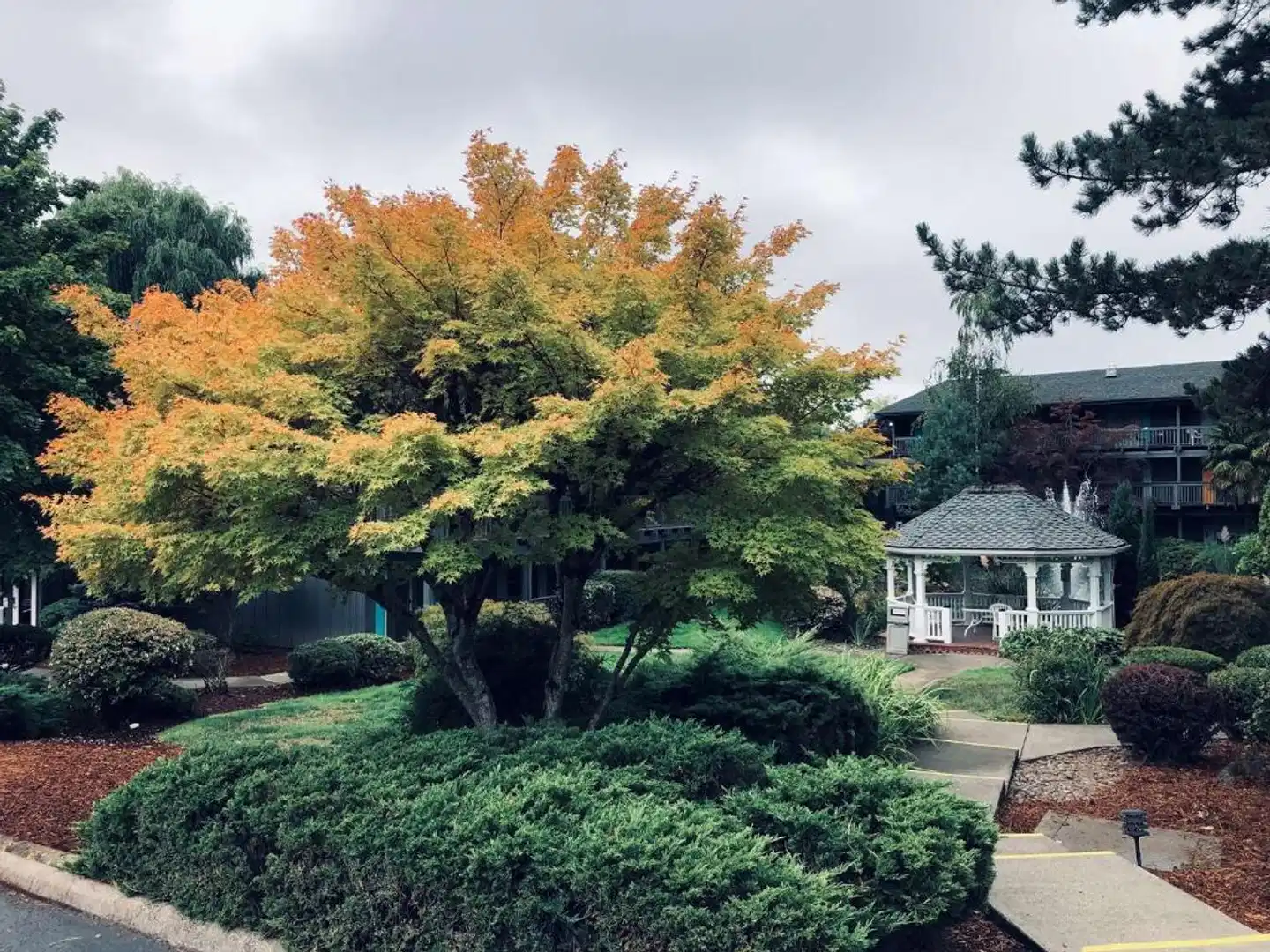 Best Western Portland West Beaverton Garten