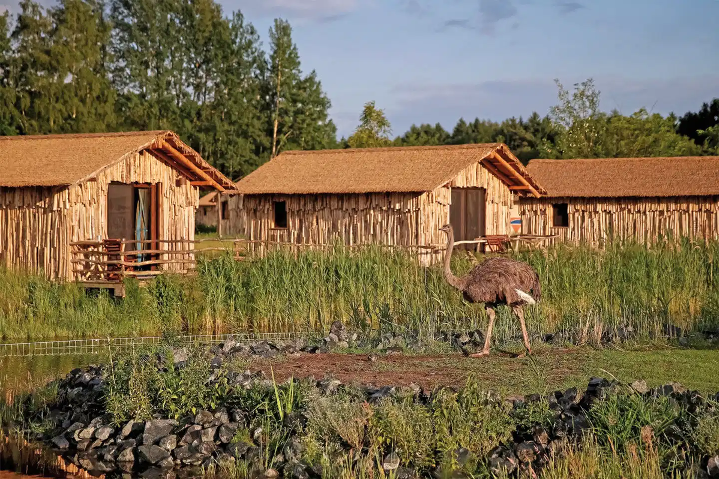 Serengeti Park Lodge Tiere