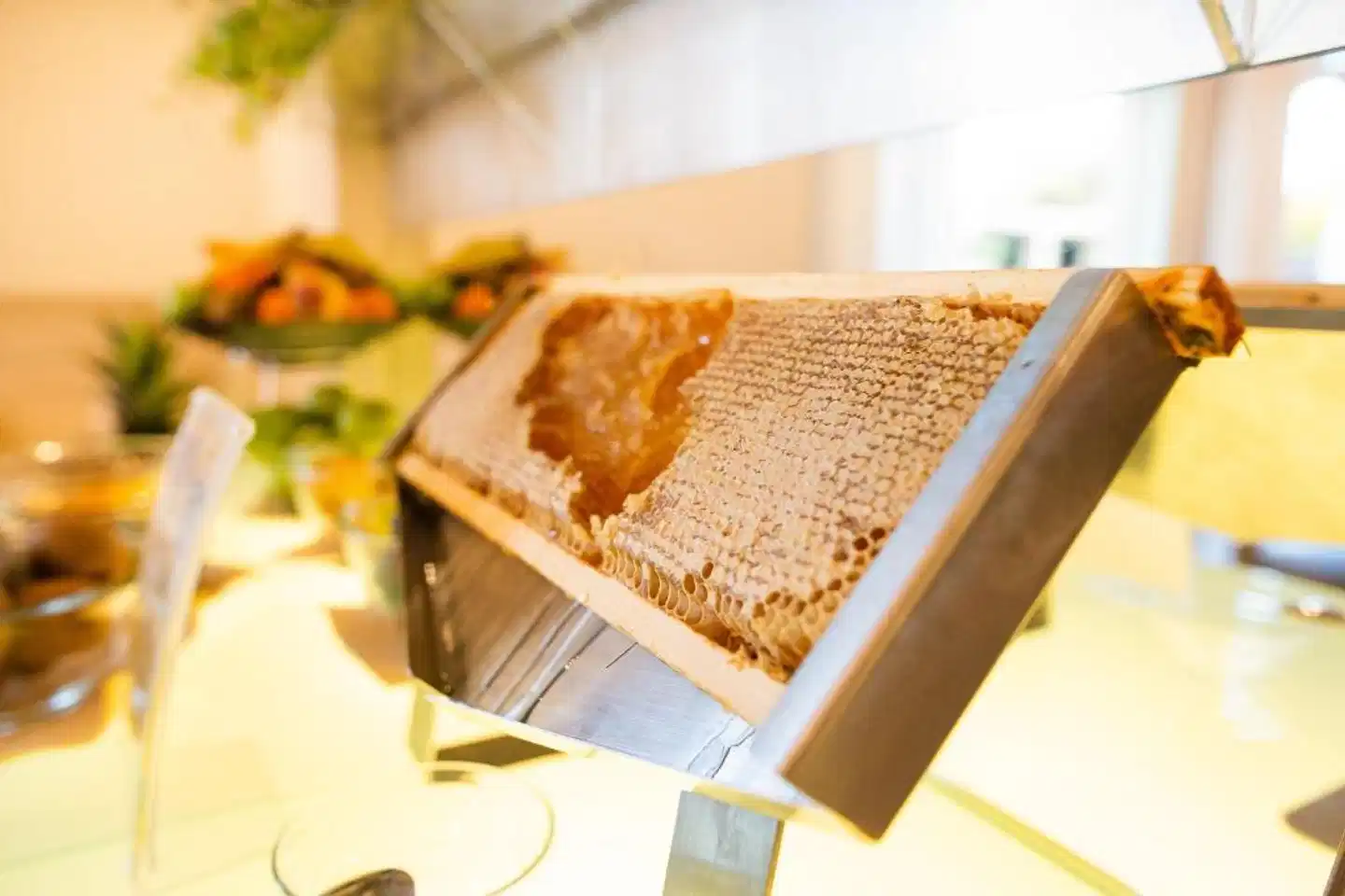 Carducci 76 Restaurant