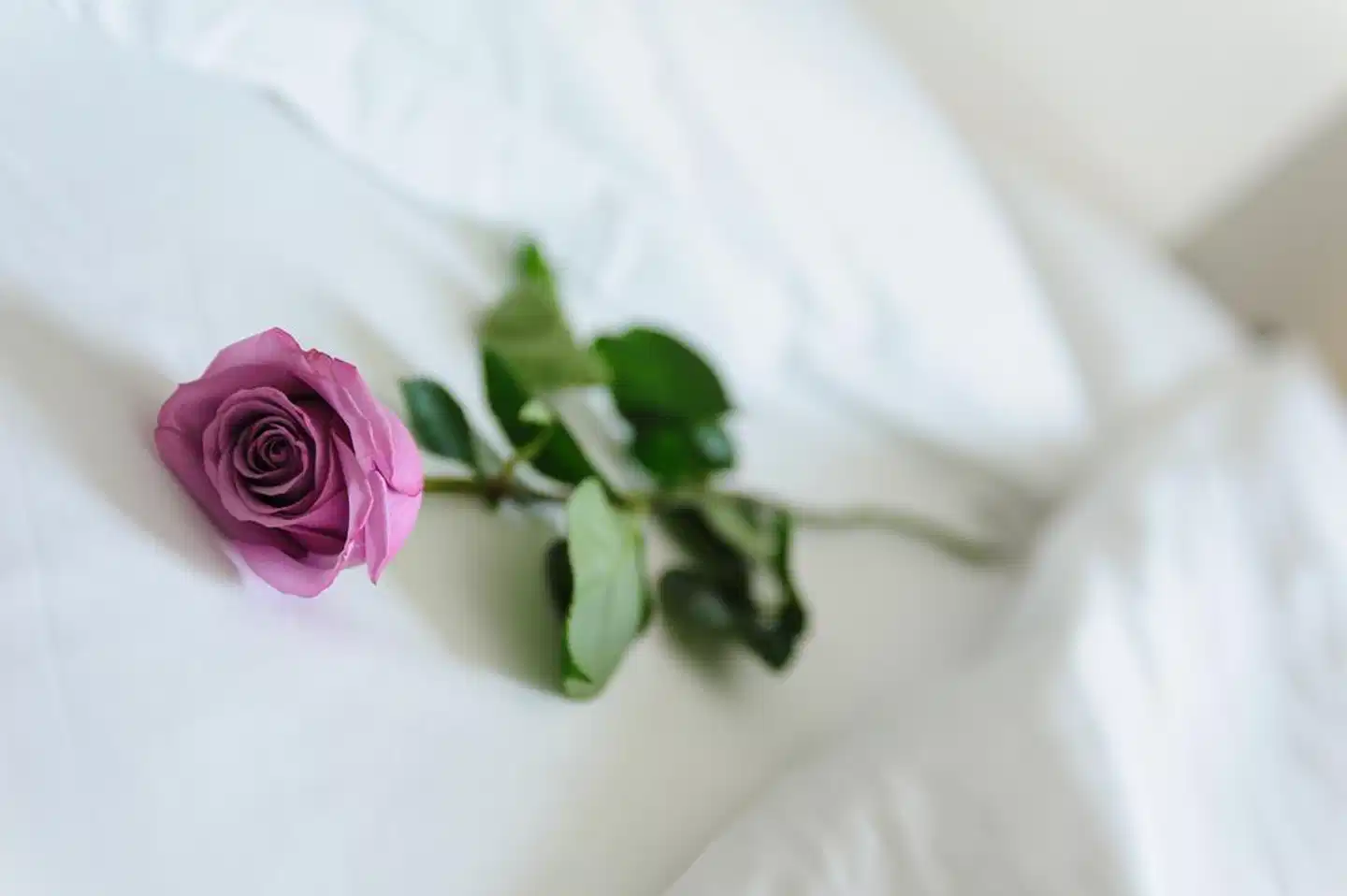 Cristallo Wohnbeispiel