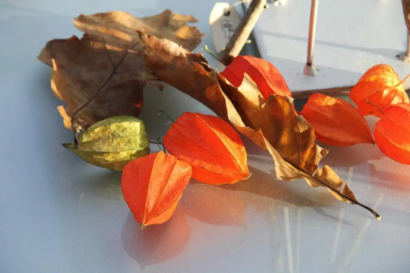 Clarion Hotel Bergen Airport Restaurant