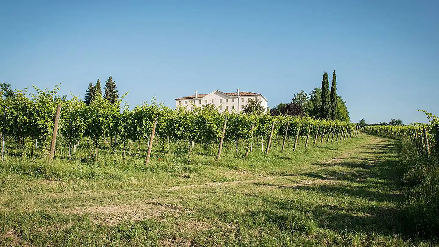 PHI Hotel Astoria Landschaft