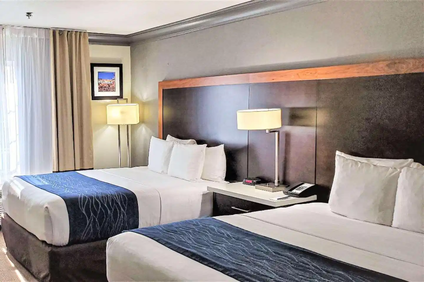 Comfort Inn & Suites Near Universal - North Hollywood - Burbank Wohnbeispiel