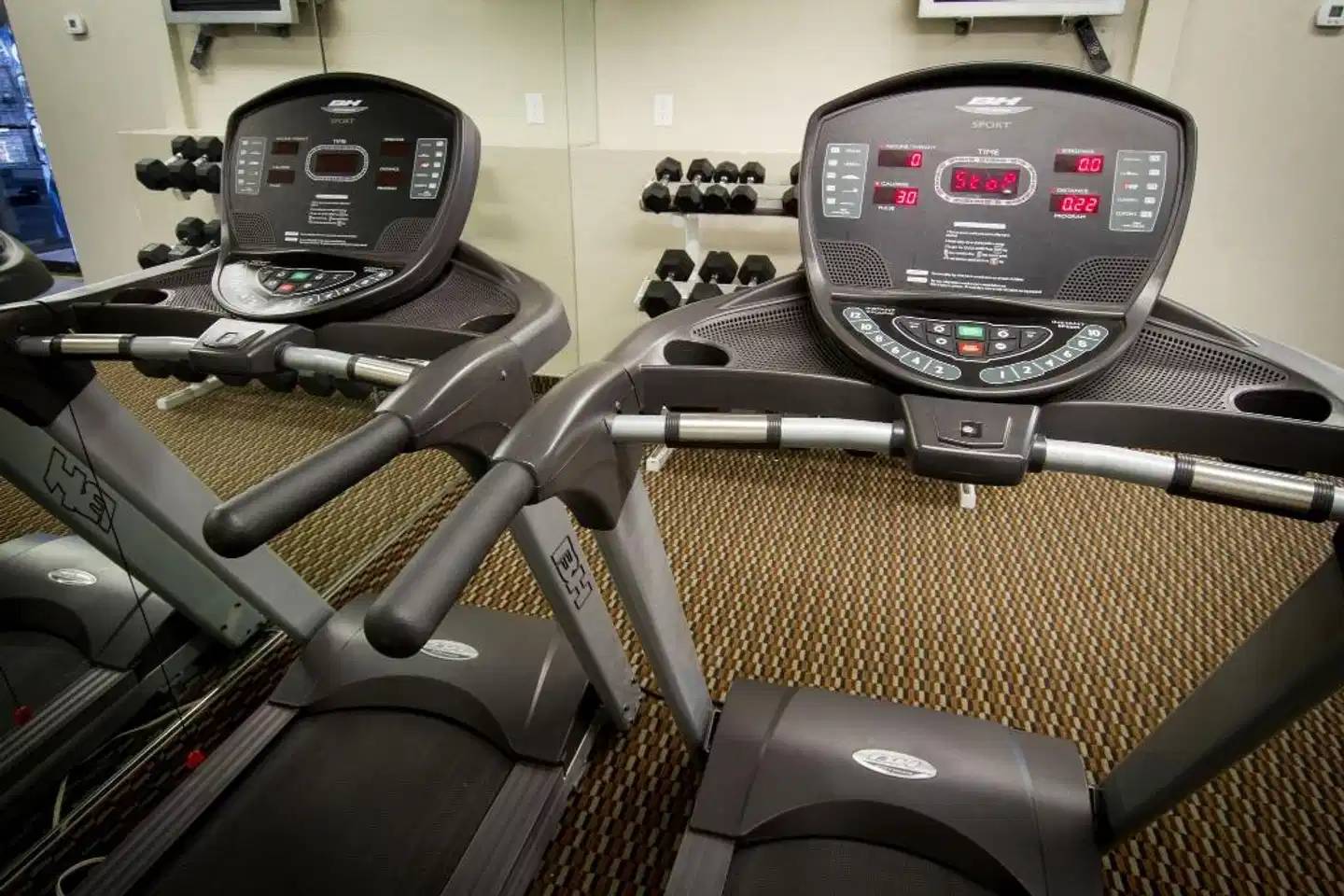 3 Palms Scottsdale Sport und Entertainment