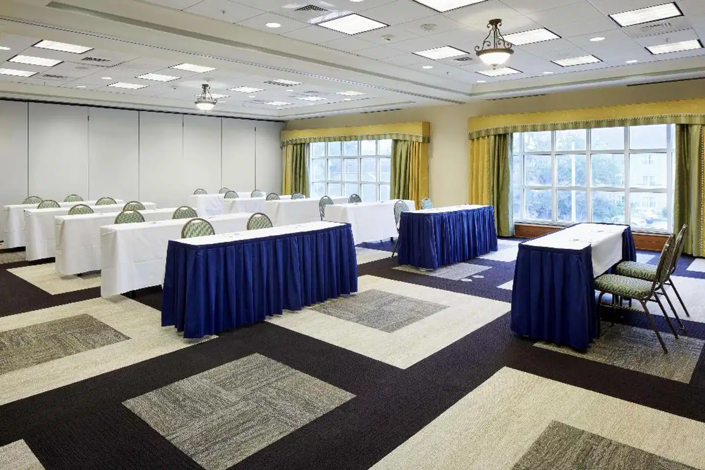 Hampton Inn & Suites Savannah/Midtown Konferenz