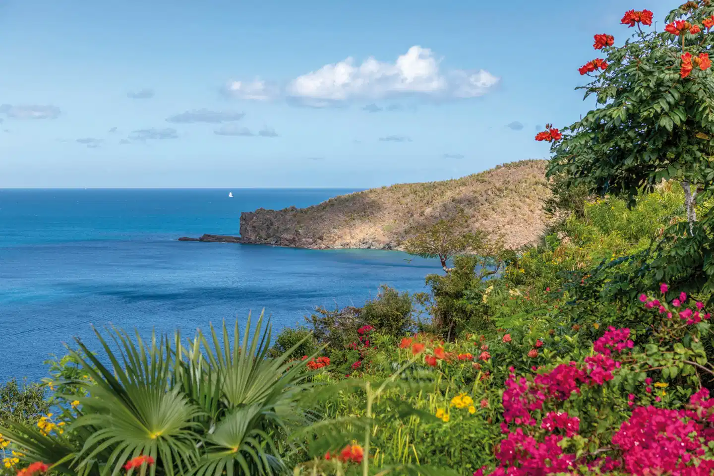 Guana Island Landschaft