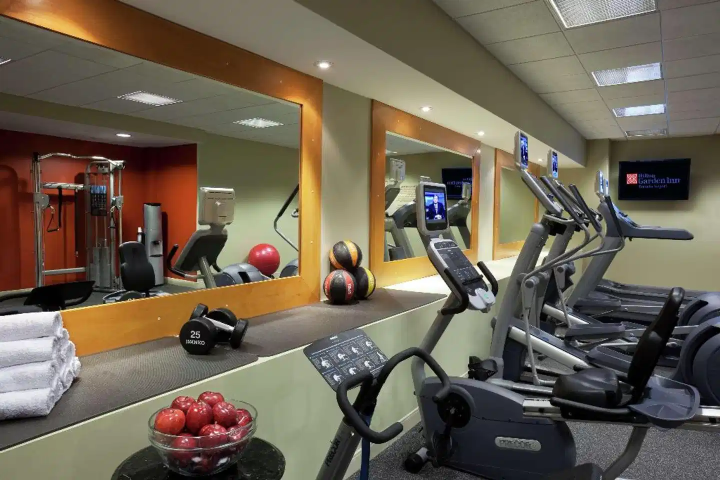 Hilton Garden Inn Toronto Airport Sport und Entertainment