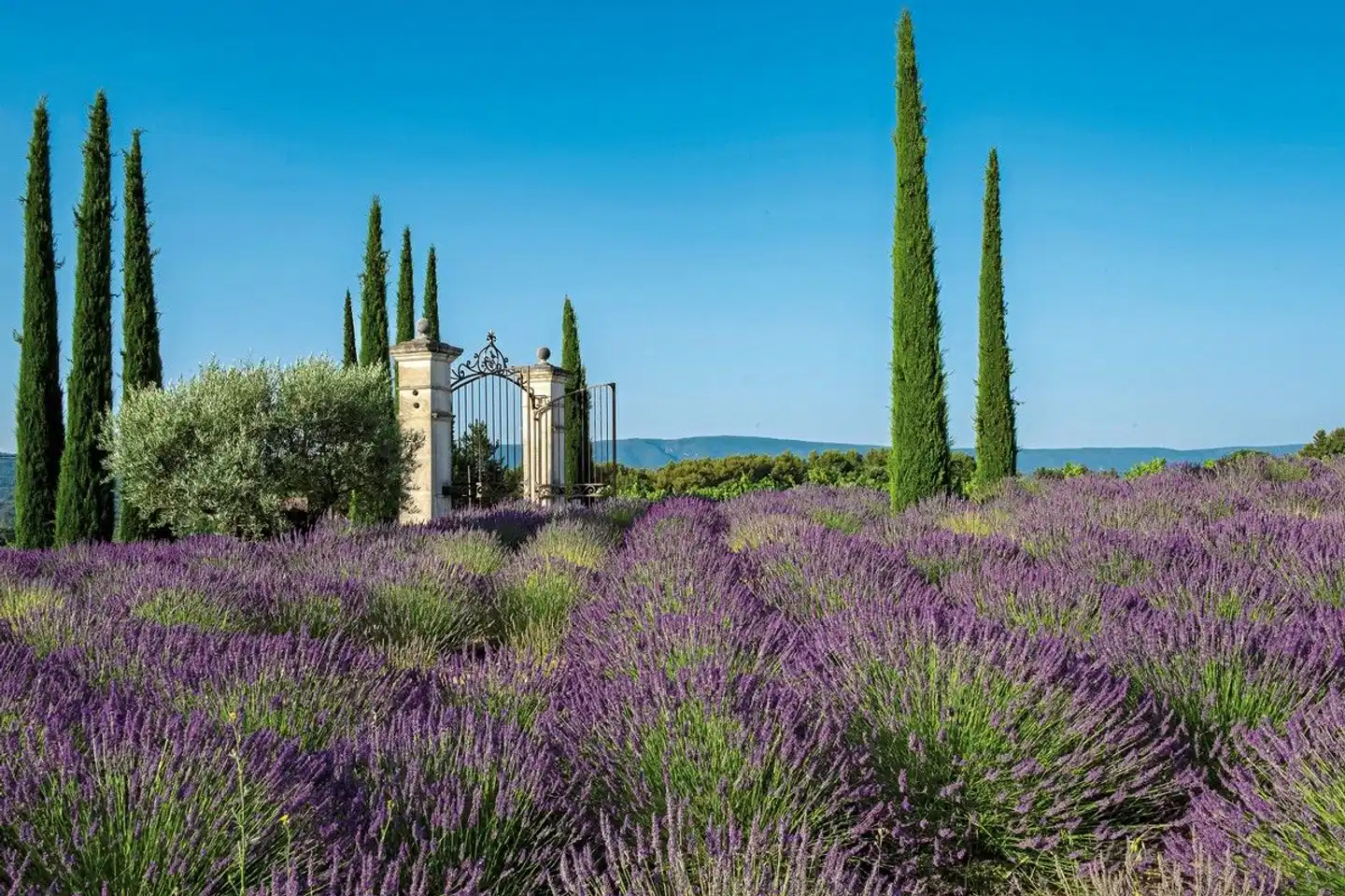 Coquillade Provence Garten