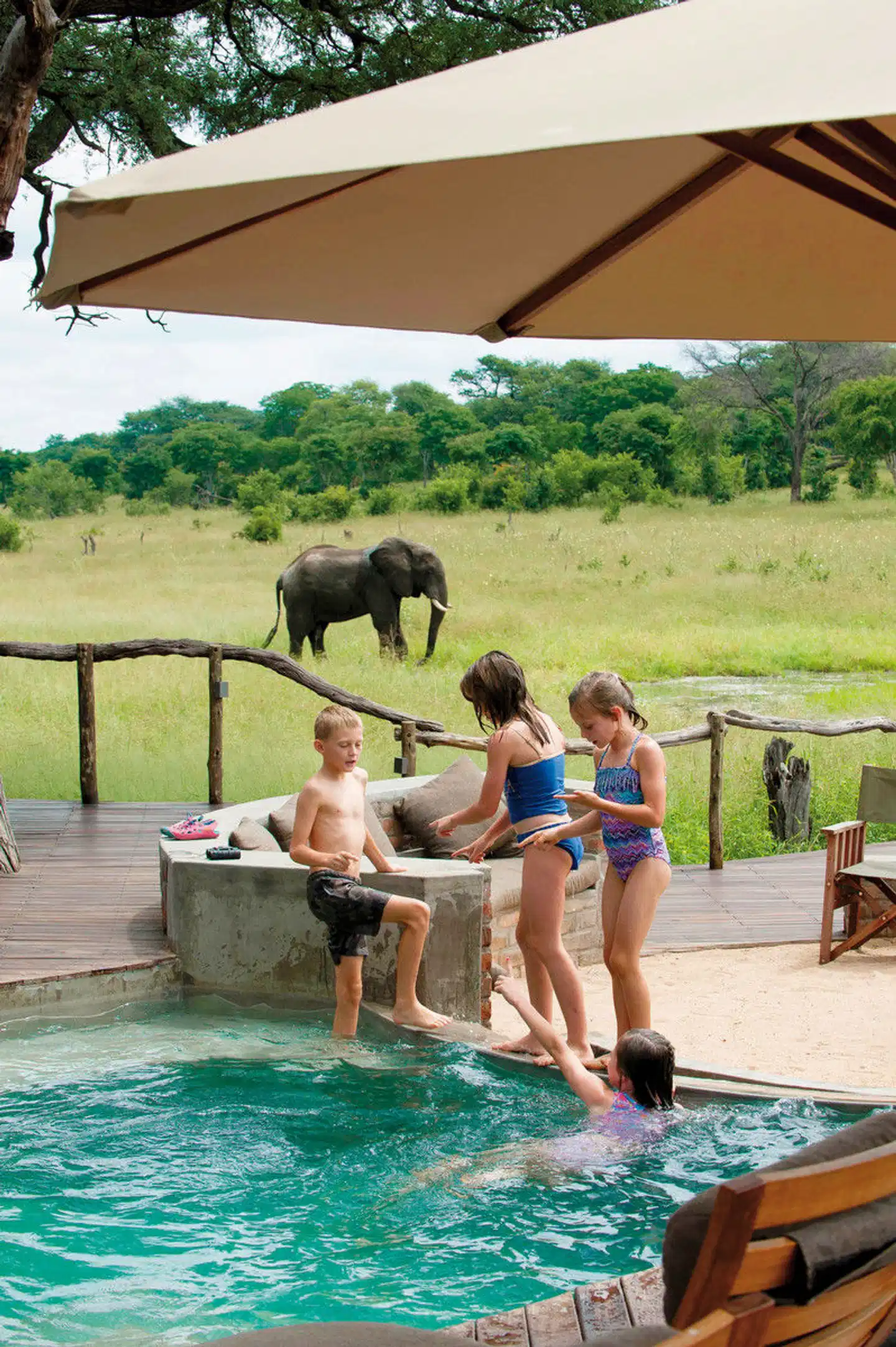 Familien Safari mit African Bush Camps Tiere