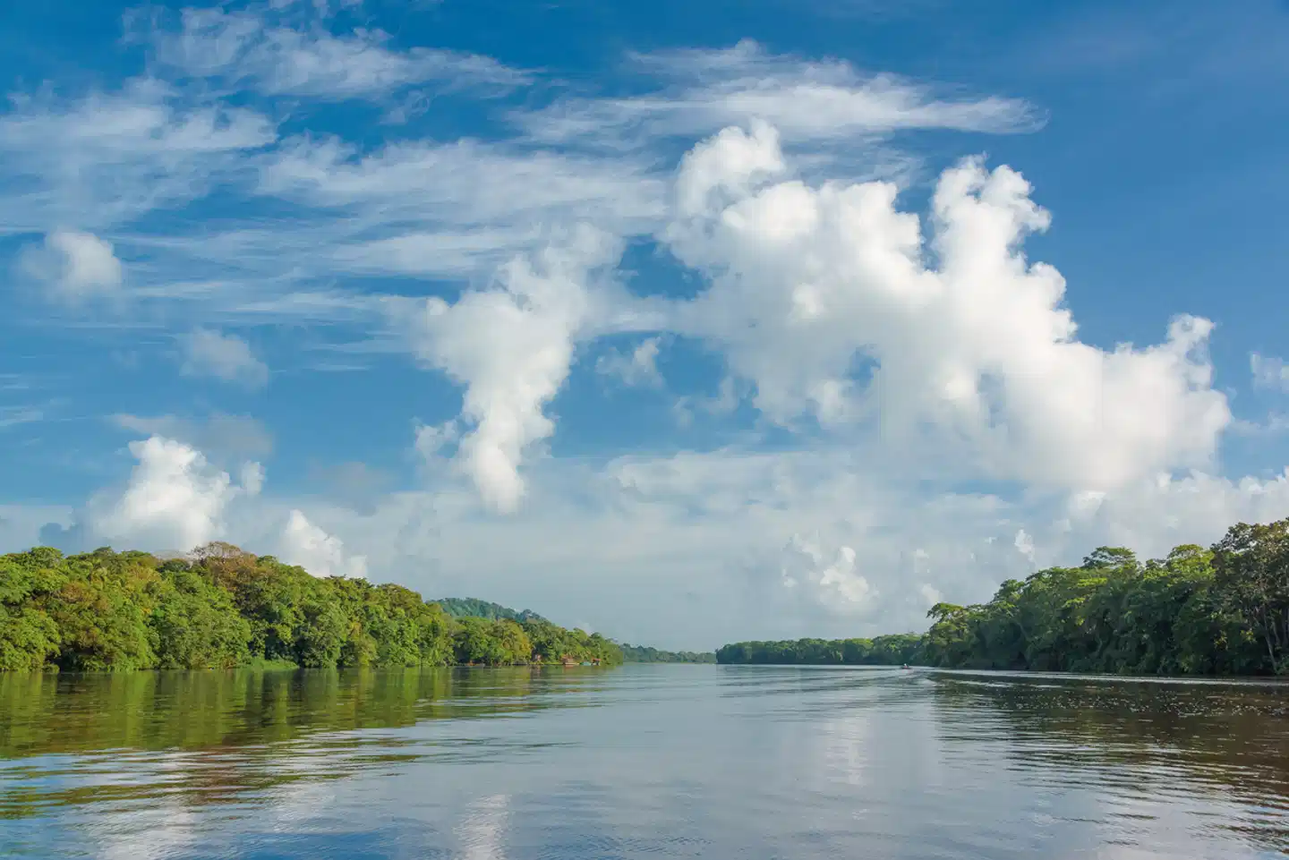 Karibik- und Dschungeltour Landschaft