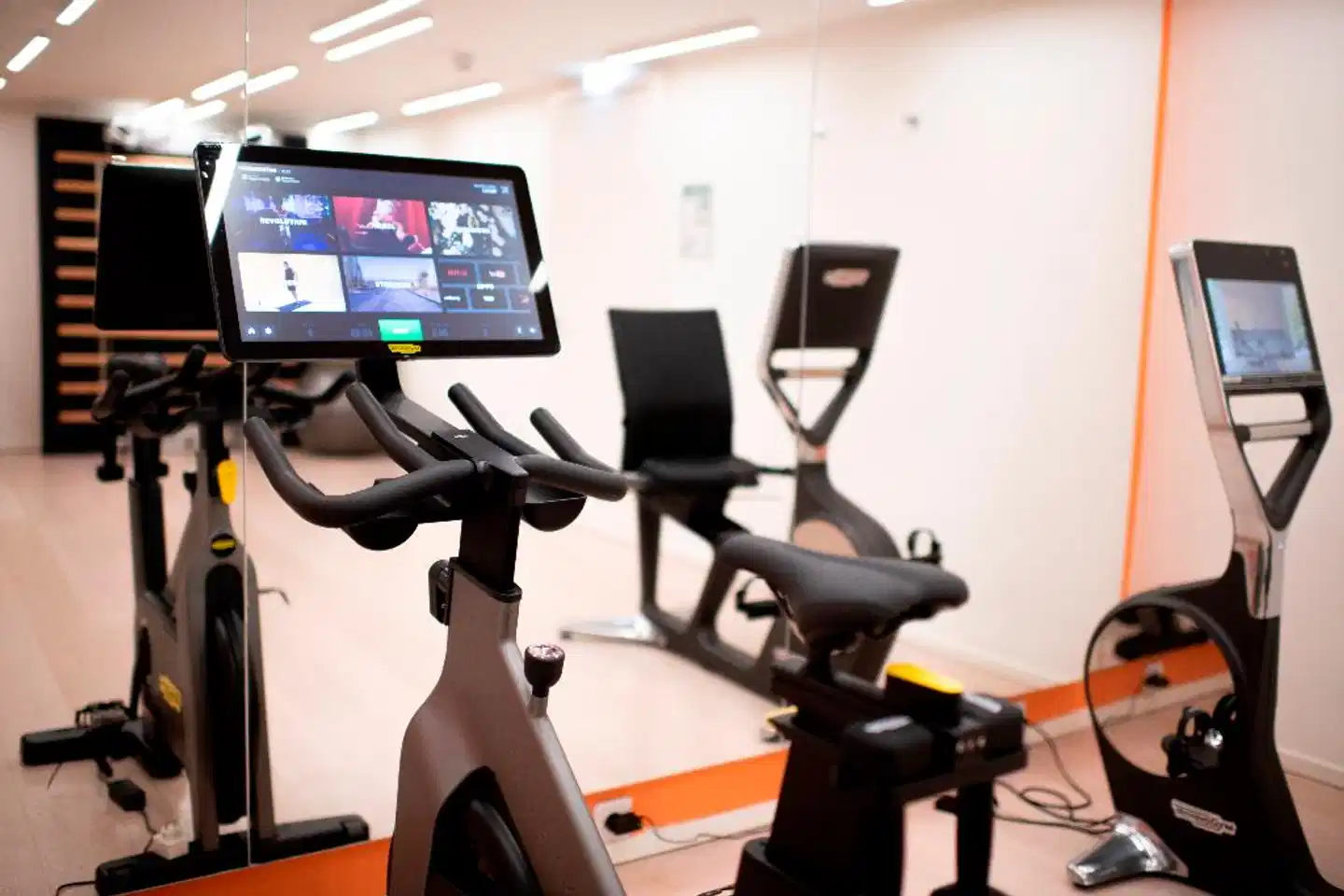 Stein Sport und Entertainment