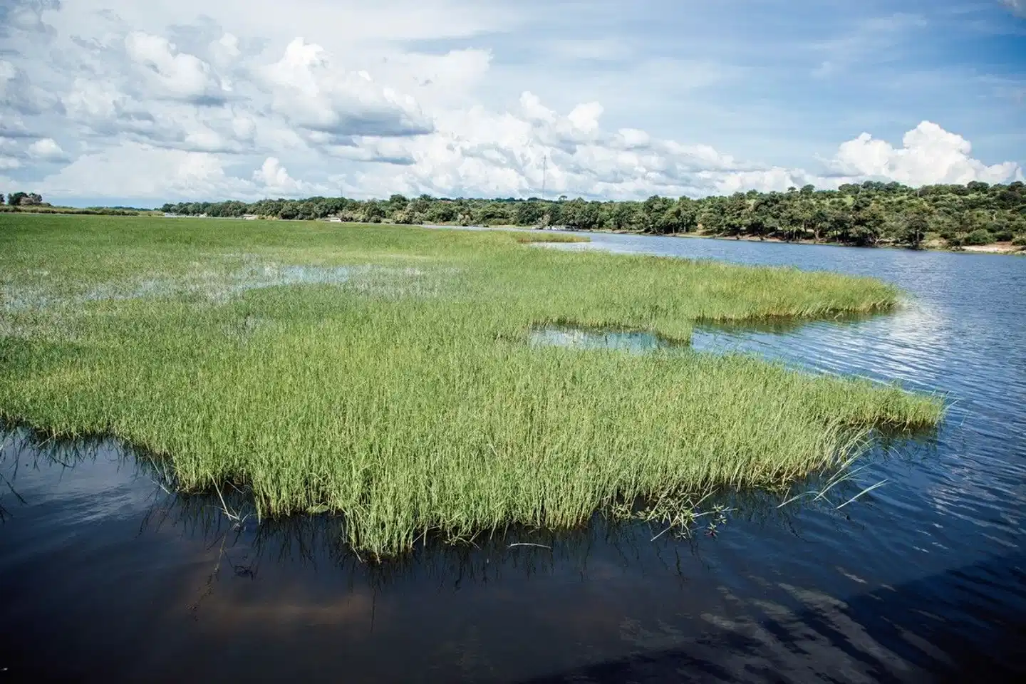 Cresta Mowana Safari Resort & Spa Landschaft