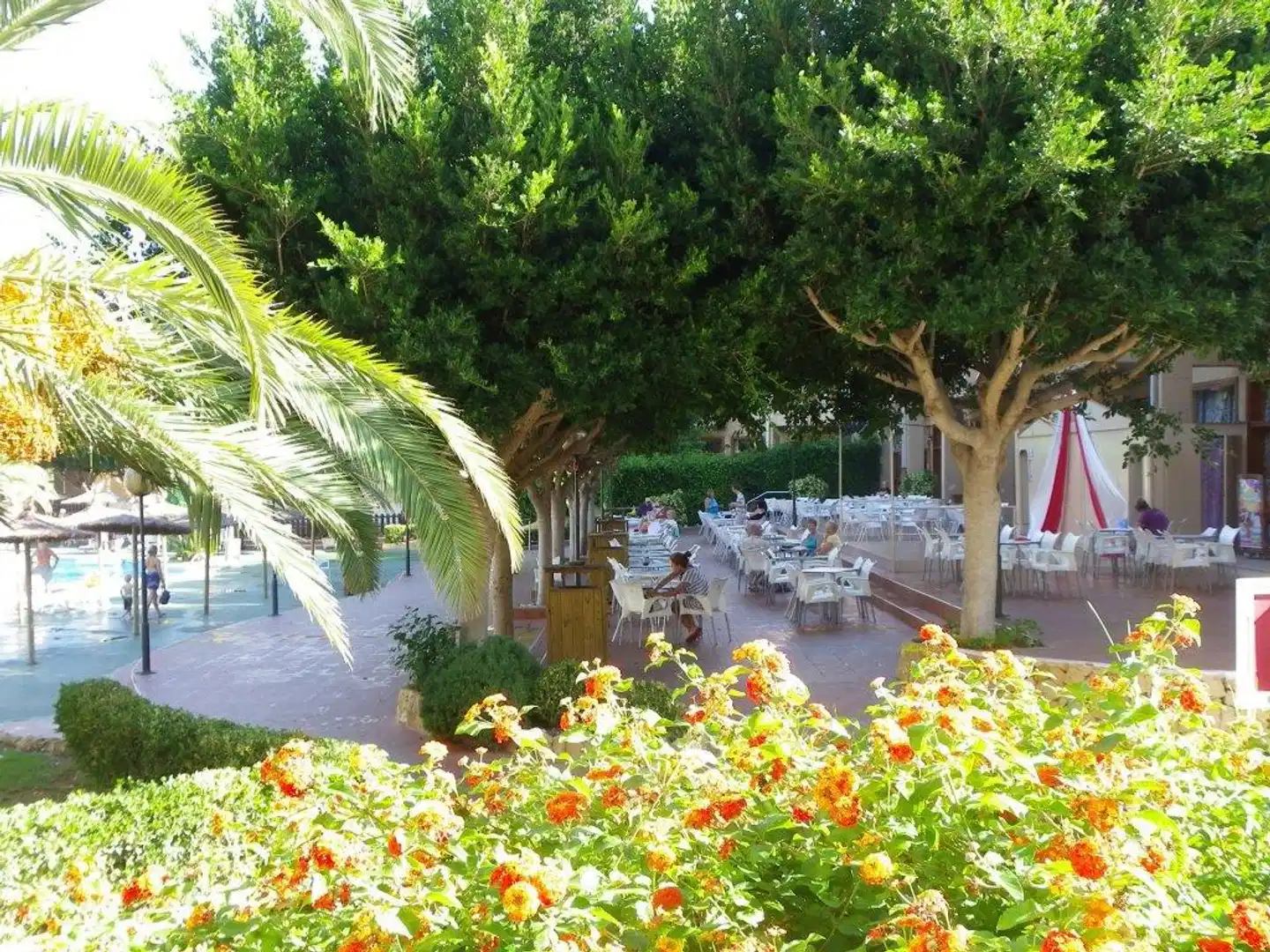 Albir Garden inkl. Mietwagen Garten