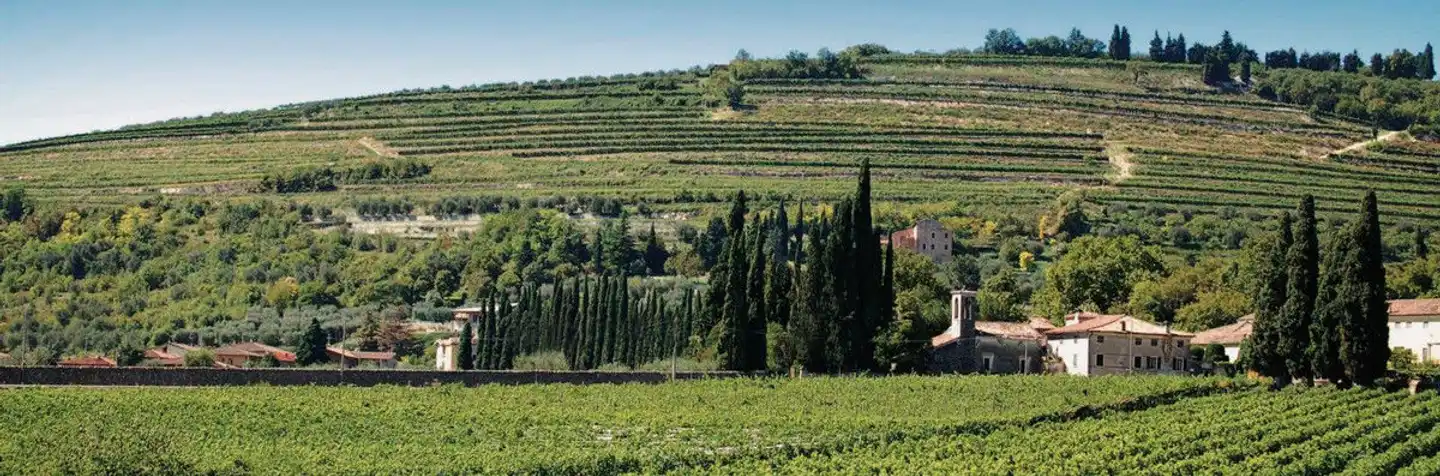 Villa Quaranta Tommasi Wine Hotel & Spa Garten