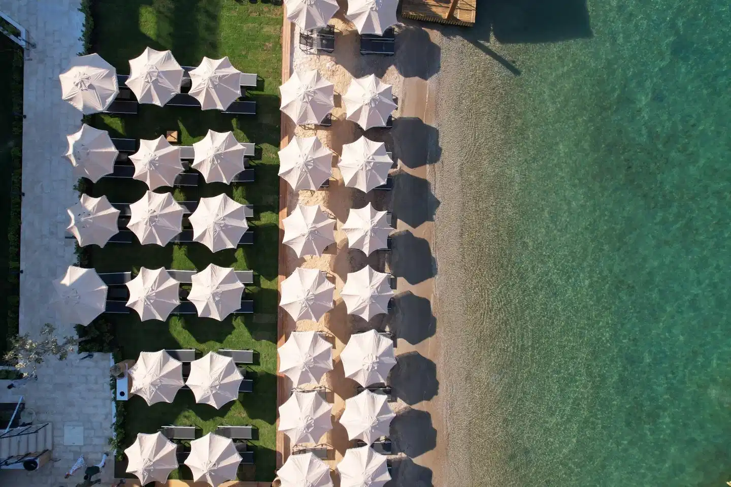 Highlight Hotel Tiere