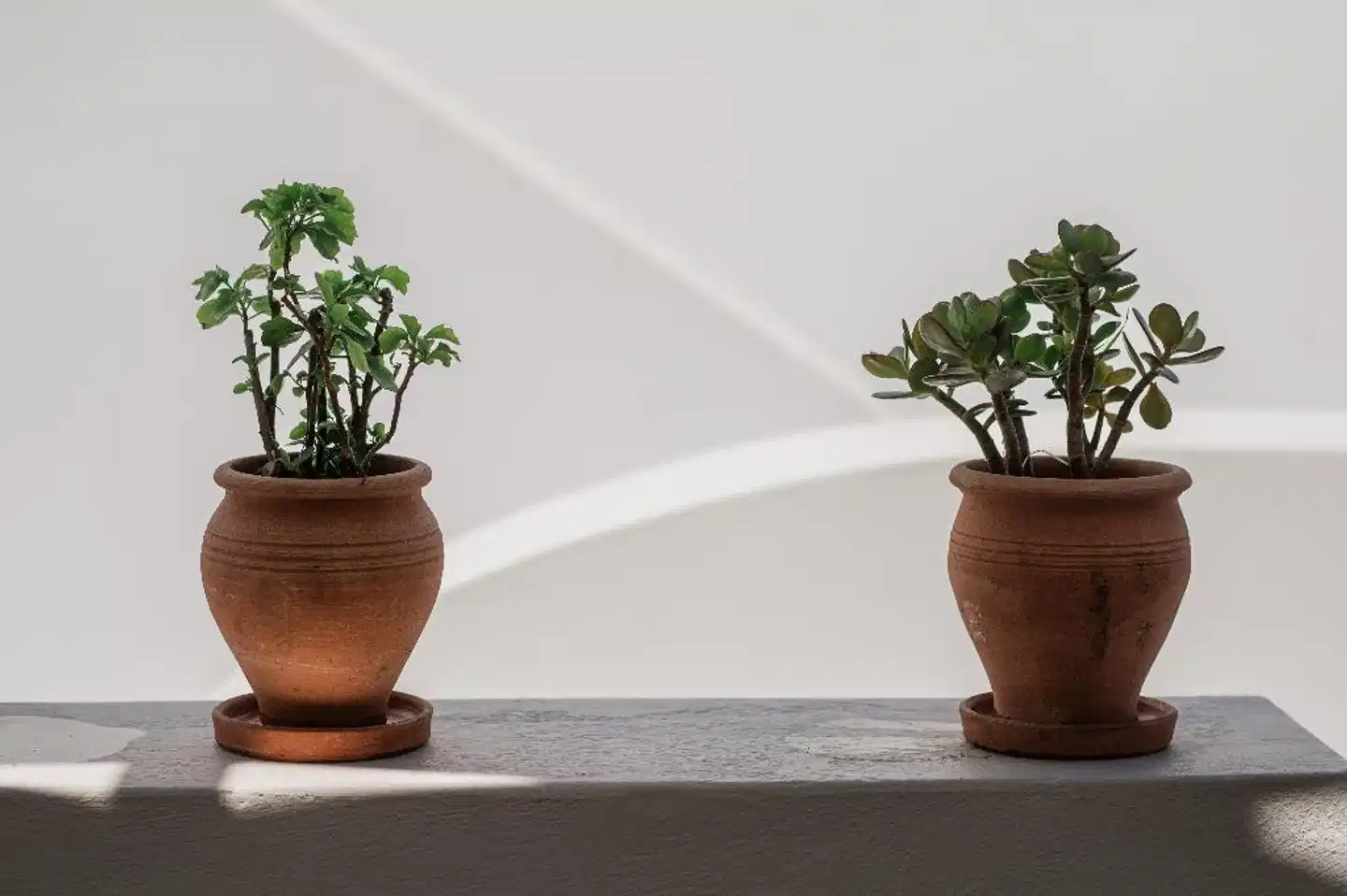 Amphitrite Suites Santorini Lobby
