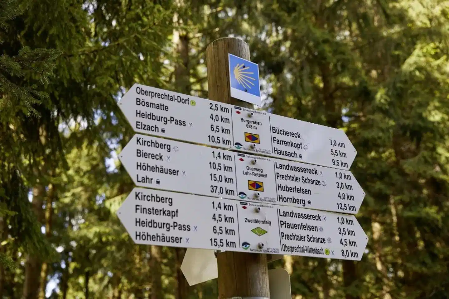 ElzLand Hotel Pfauen WELLNESS, SPA & VITALIS HOTEL Aussenansicht