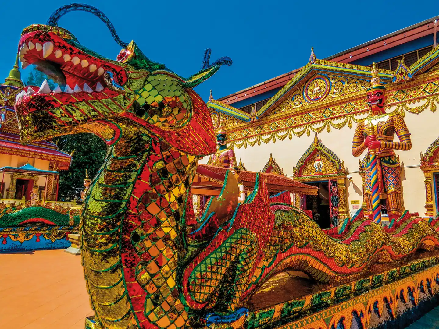 Malaysia Kaleidoskop (Gruppenreise) Tiere