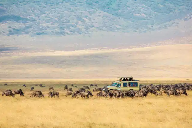 Kenia & Tansania - der Rhythmus der Wildnis Landschaft