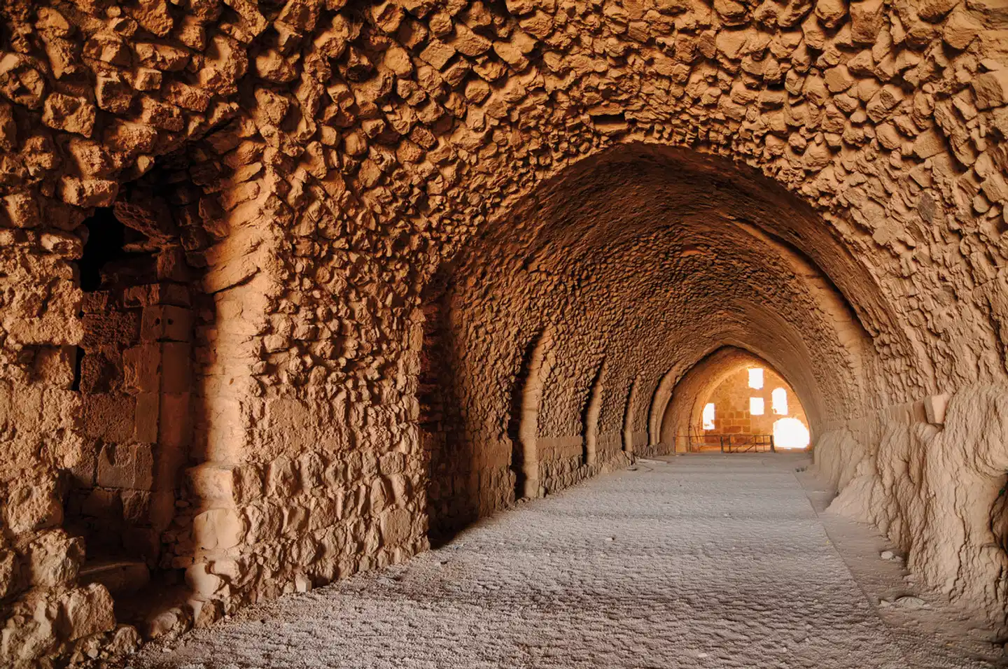 Höhepunkte Jordaniens privat Tiere