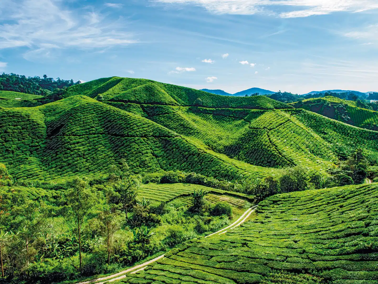 Best of Malaysia (Privatreise) Landschaft