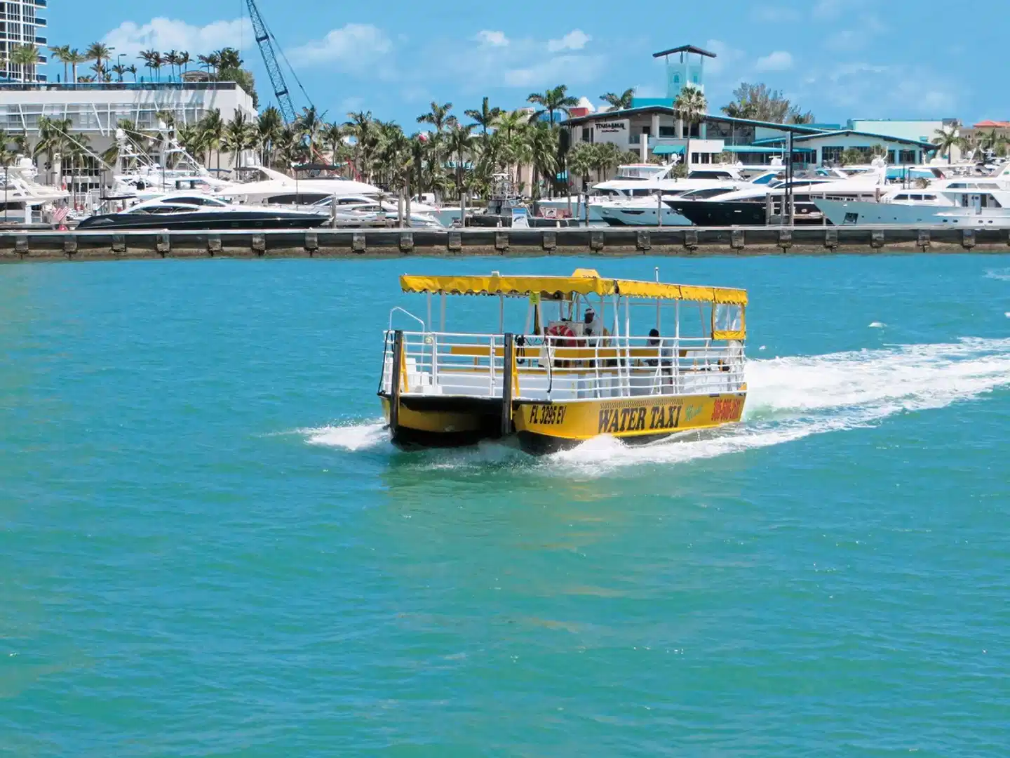 Best of Florida Sport und Entertainment