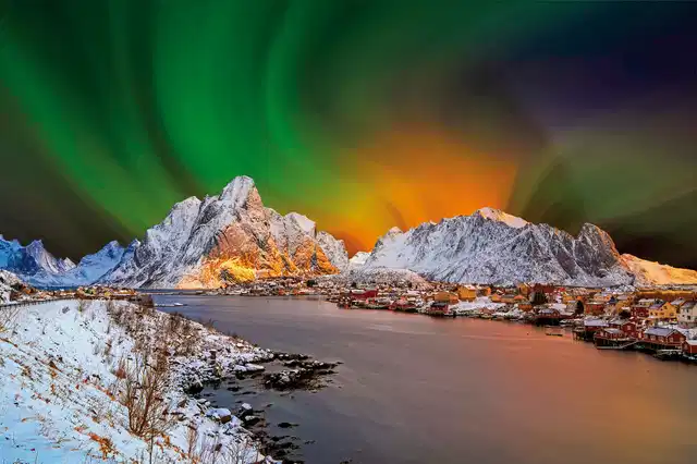 Arktische Erlebnisse Tiere