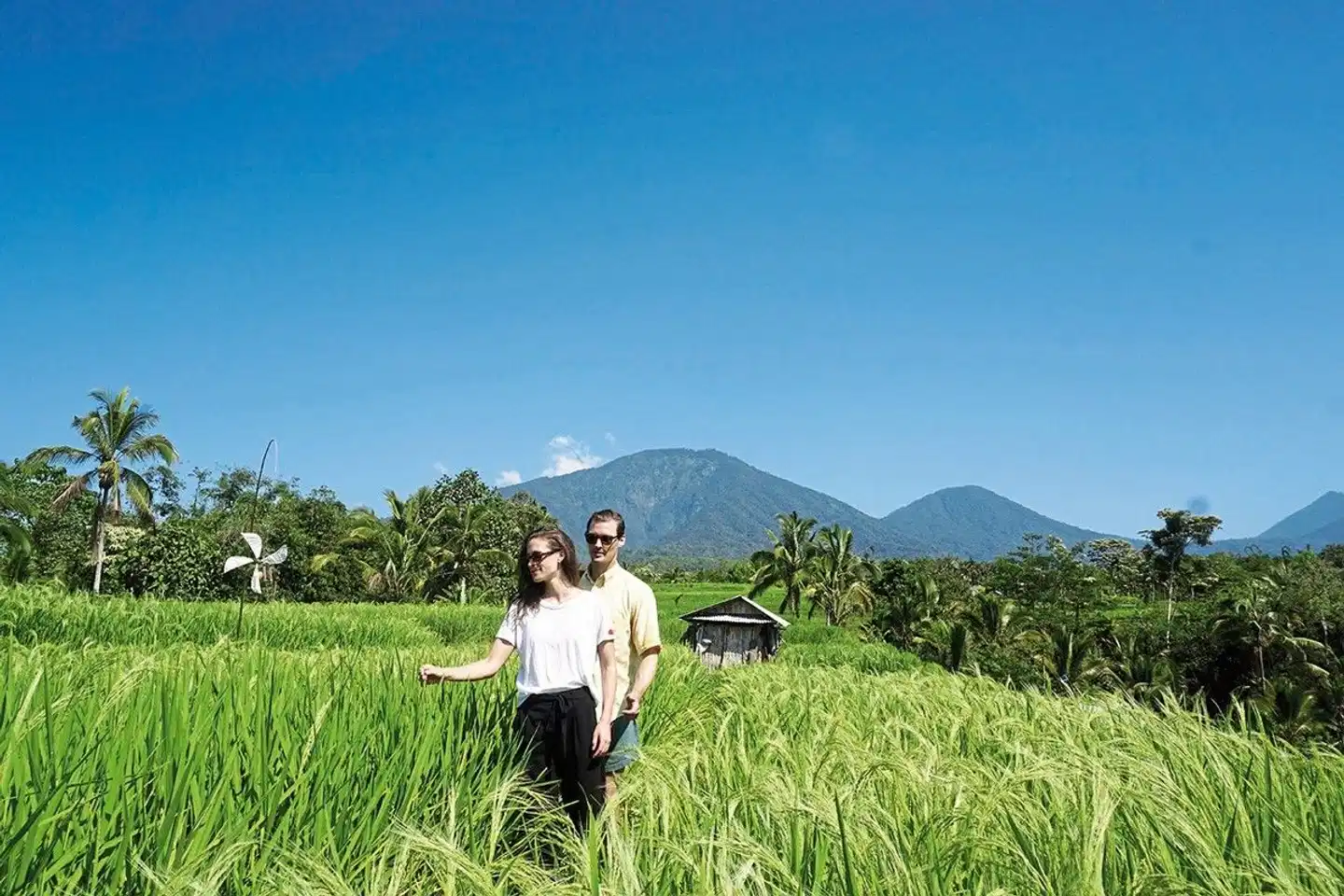 Bali einmal anders (Privatreise) Landschaft