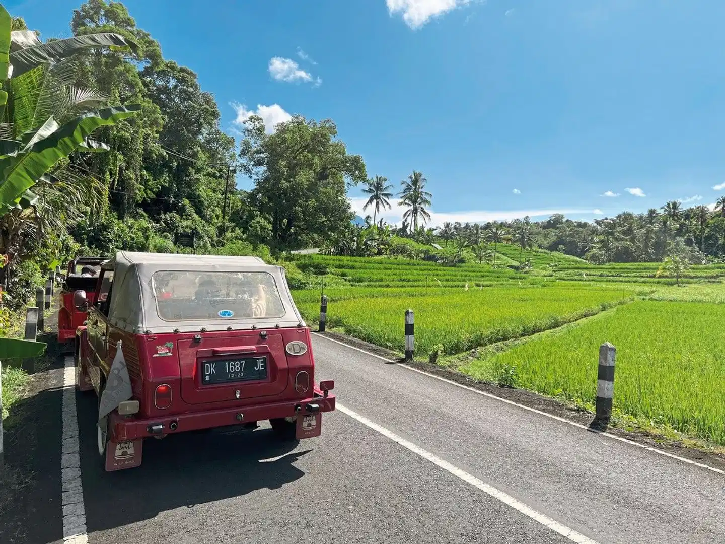 Bali einmal anders (Privatreise) Garten