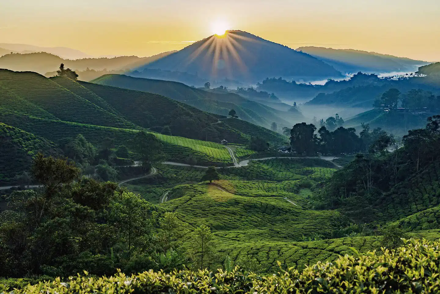 Malaysia Kaleidoskop (Privatreise) Landschaft