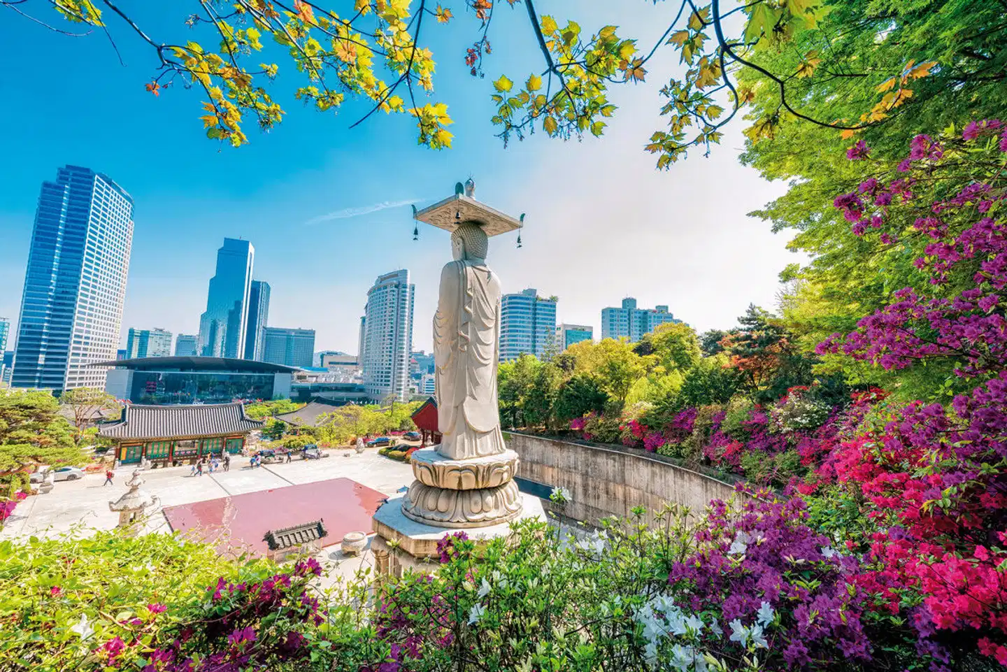 Südkorea aktiv (nur Landprogramm) Garten