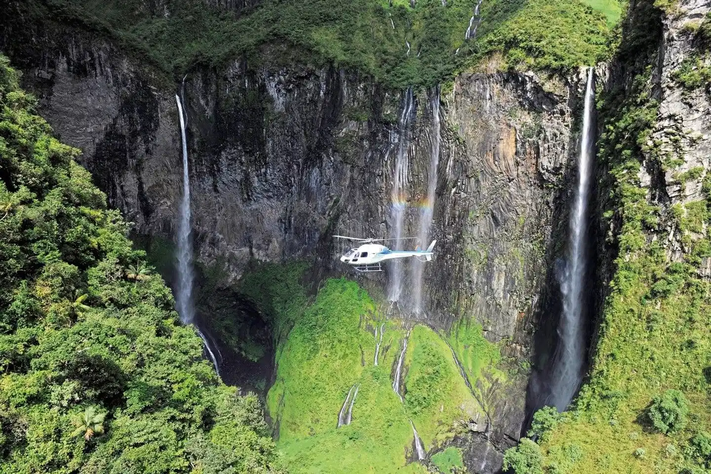 La Réunion - Inselparadies für alle Sinne Garten