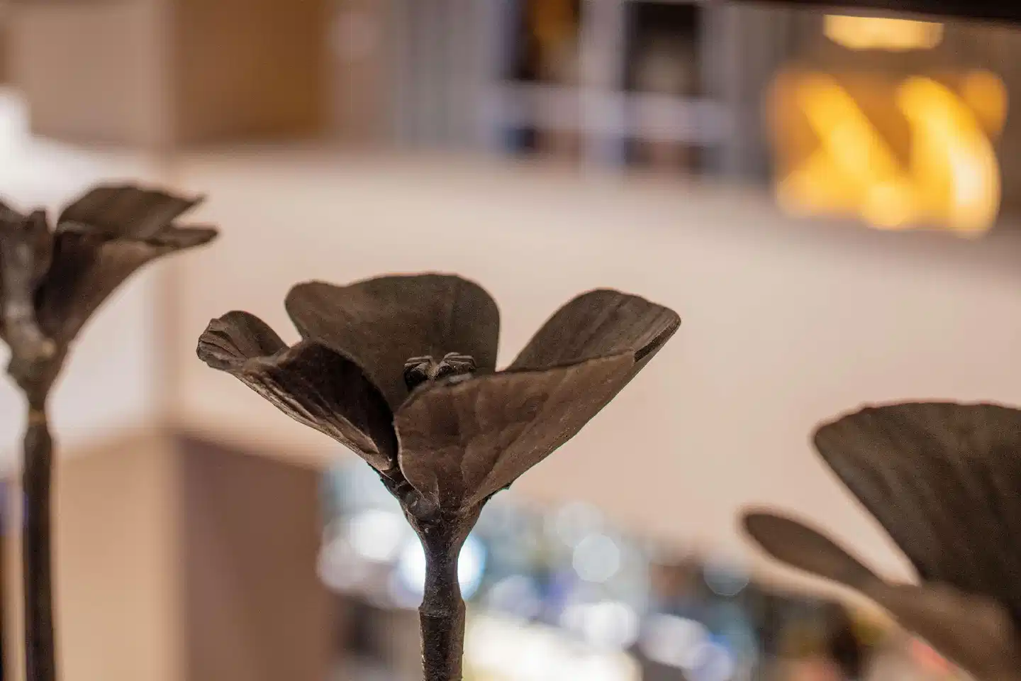 Hyatt Regency Sacramento Wellness