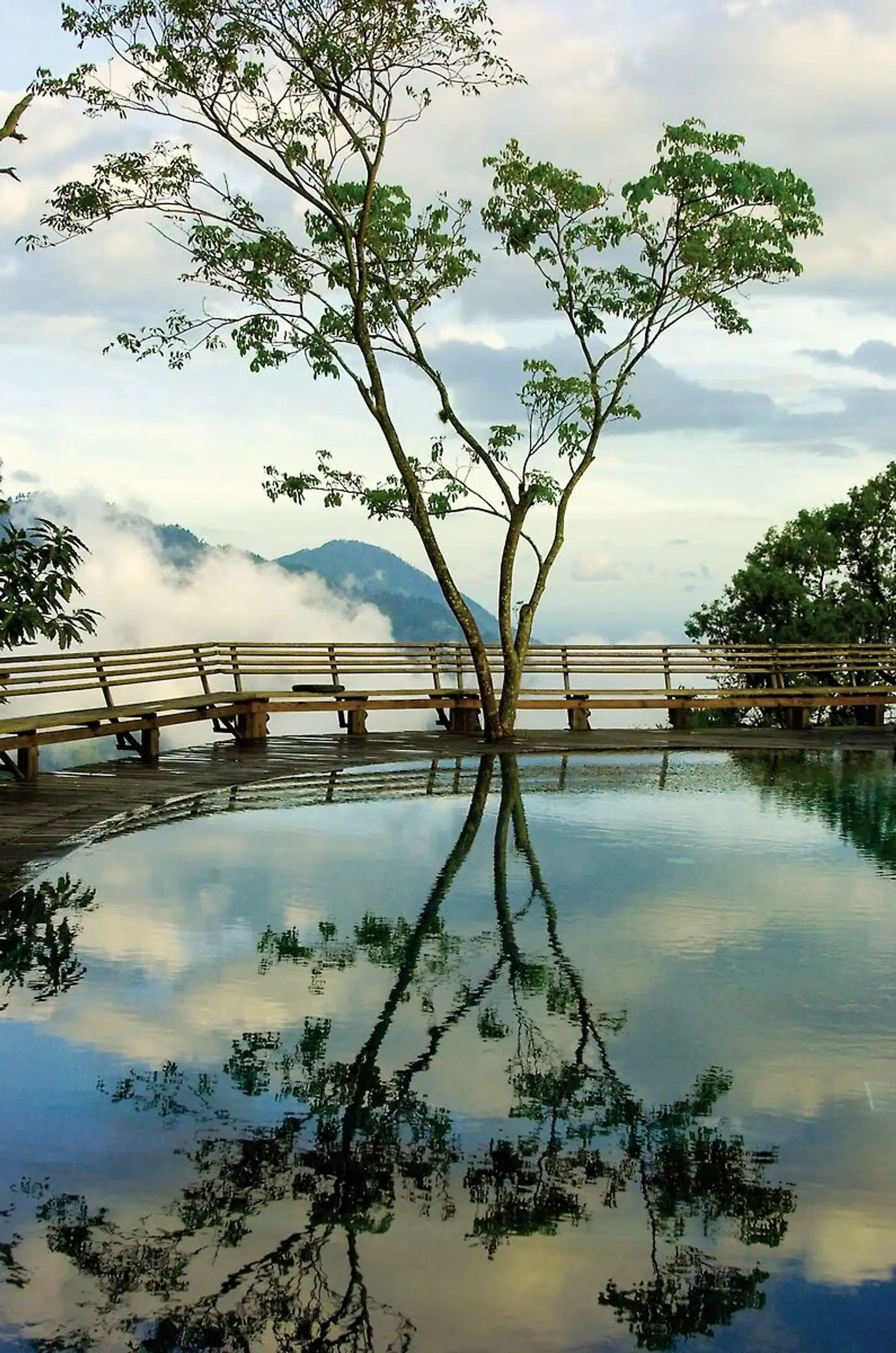 Strawberry Hill Pool