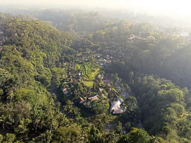Mandapa, A Ritz-Carlton Reserve Landschaft