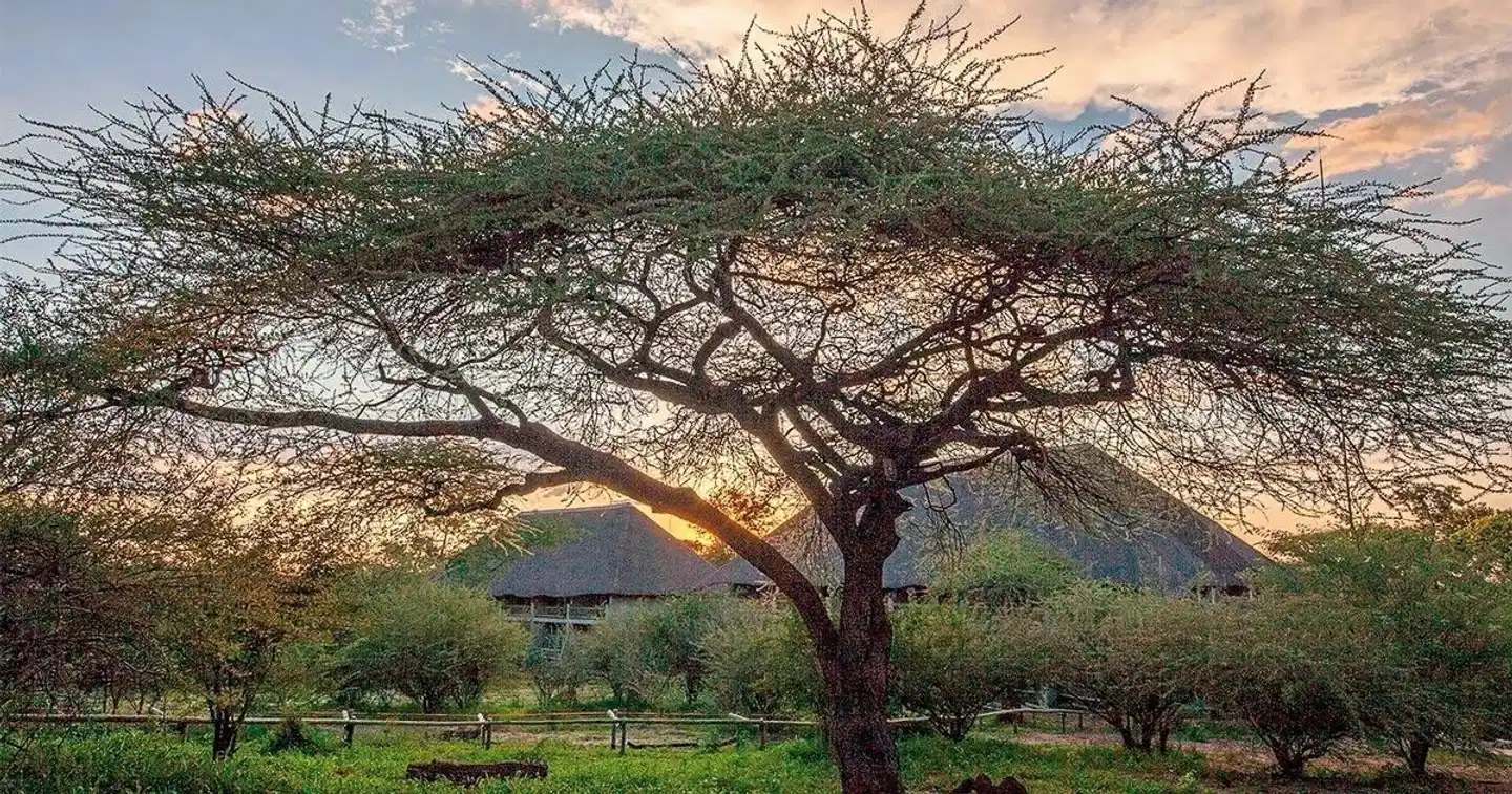 Chobe Bush Lodge Landschaft
