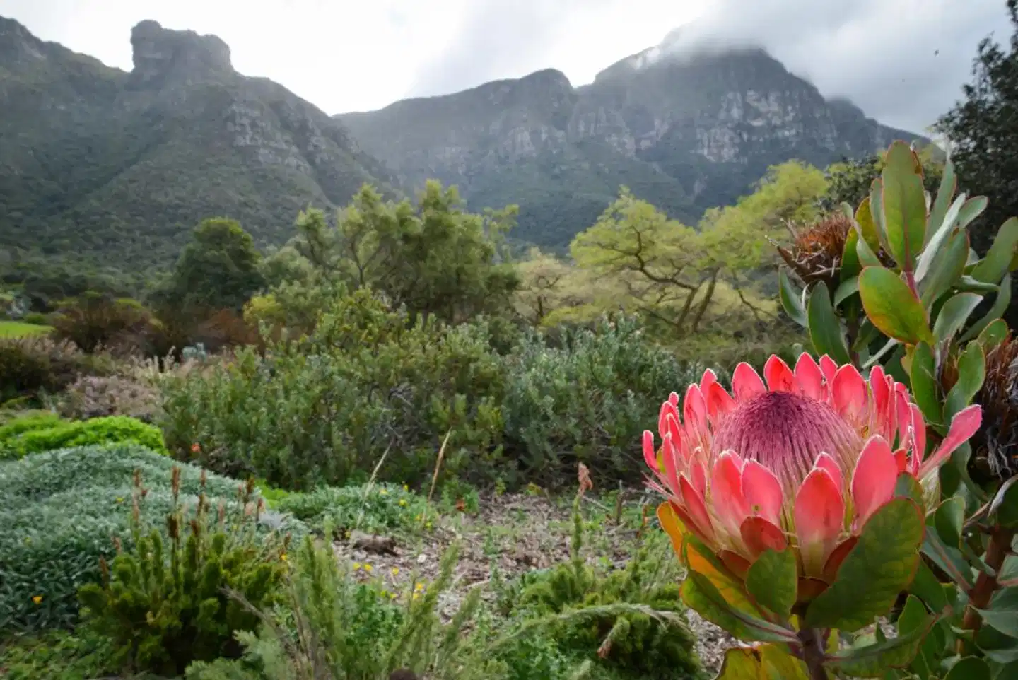 More Quarters Landschaft