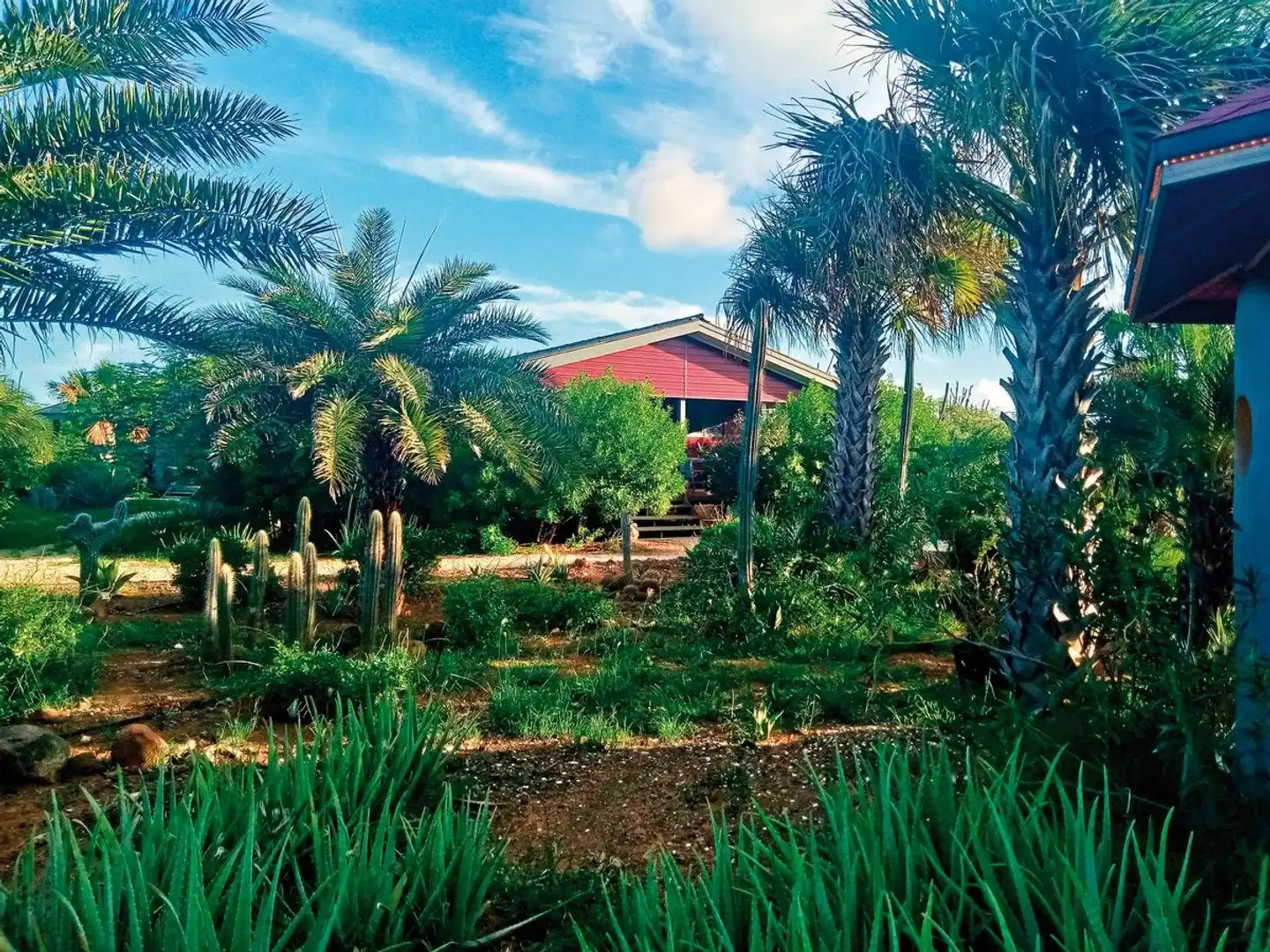Red Palm Village Garten