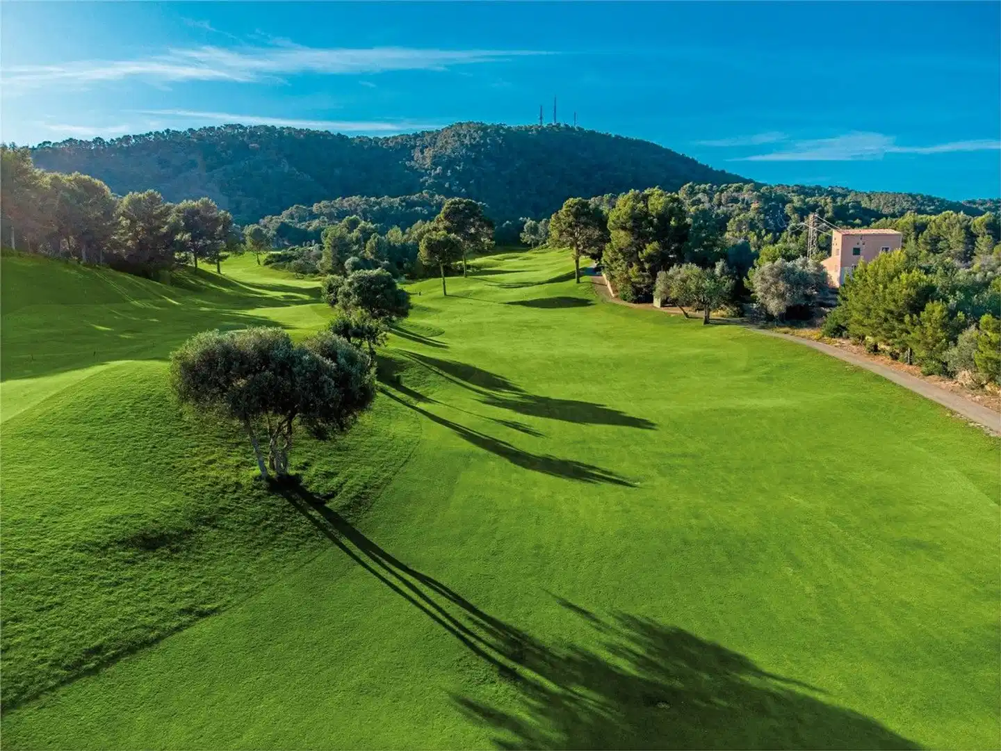 Zafiro Palace Andratx Landschaft