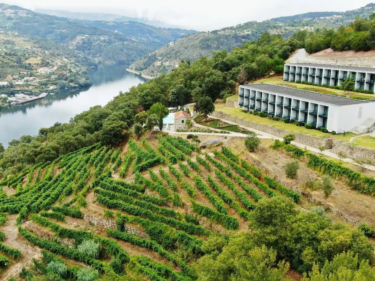 Douro Palace Hotel Resort & SPA Landschaft