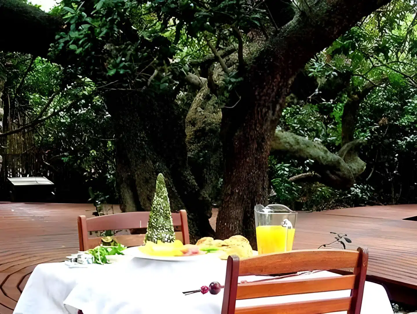 Mosaic Lagoon Lodge Terrasse