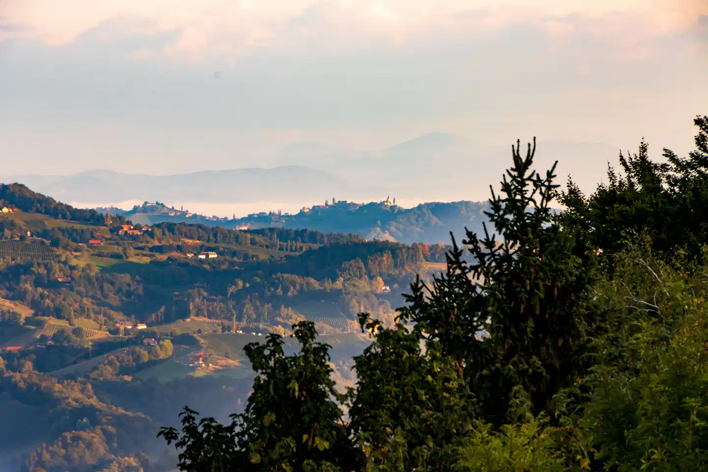 Landhotel am Gut Moser Landschaft