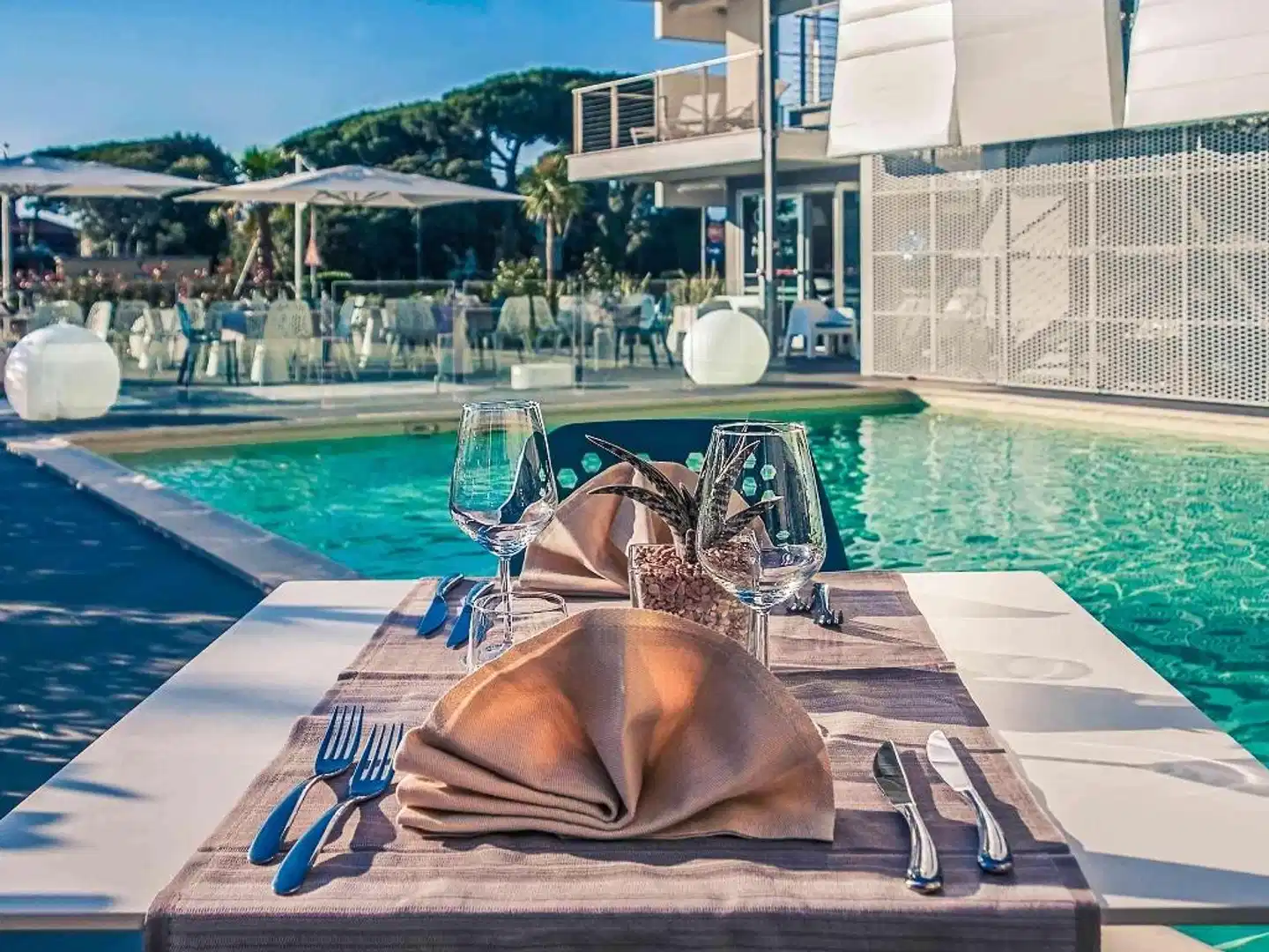 Hotel Viareggio Pool