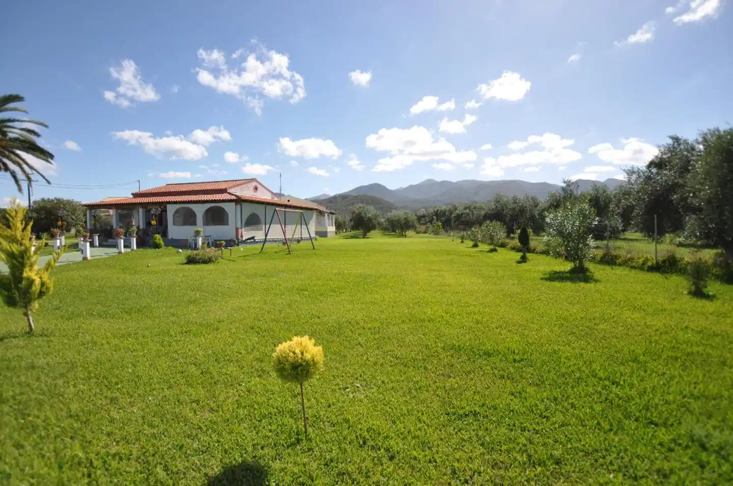 Liberty's Studios Tiere