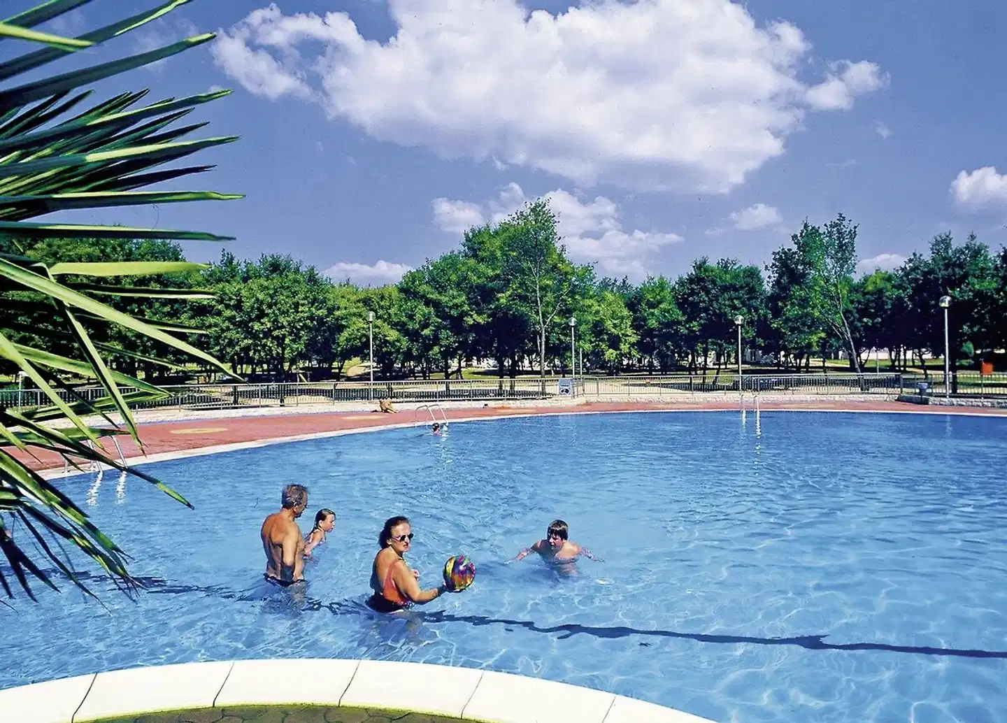 Camping Bijela Uvala (by Albatross) Pool