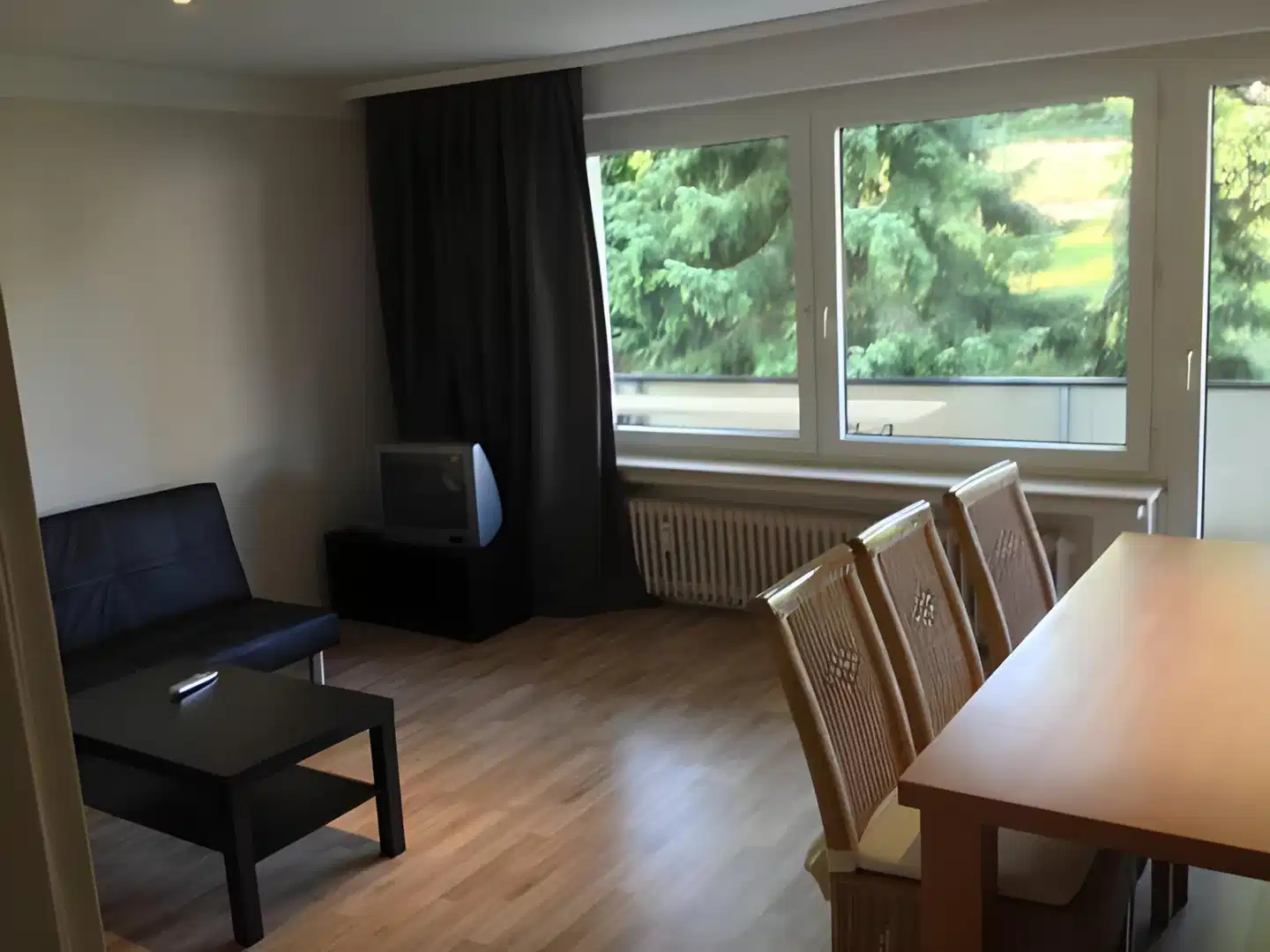 Harzidyll Living Apartment in Braunlage Wohnbeispiel